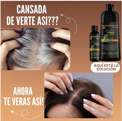 Shampoo Cubre Canas + Tratamiento 3 en 1 – ¡Resultados Rápidos para un Cabello Joven y Brillante! 🔥